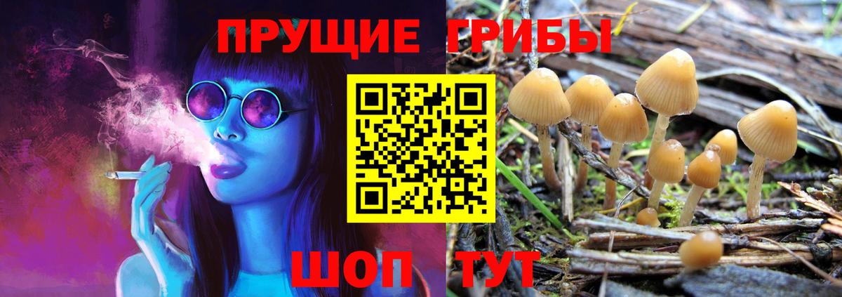 Галлюциногенные грибы мицелий  как найти наркотики  Сосновый Бор  Вход с VPN 